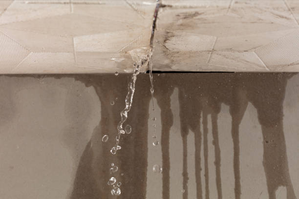 Professional Structural Drying technician working in Newark, TX